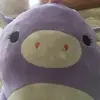 Paulpocket - @paulp099 - TikTok