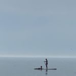 Paul Pohl - @paul.willi.pohl - Instagram