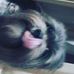 Paul Pontillo - Facebook