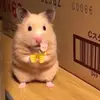 Paul - @paulpoorkid - TikTok