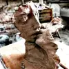 Paul Popa - @paul.popa118 - TikTok