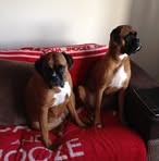 Pauline Poppleton - Facebook