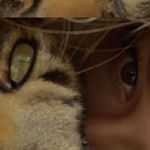 fauli - @paula.posch - Instagram