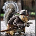 Paul Posch - @posch.paul - Instagram