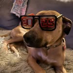 Paul Post - @prpost - Instagram