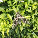 Paul Post - @paul.post.31 - Instagram