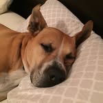 Paul Potorti - @itrotopluap - Instagram
