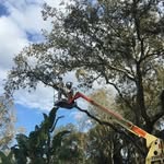 paul prew - @prewpaul - Instagram