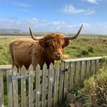 Paul Prichard - @benviewbnb_northuist - Instagram