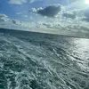 Paulina Priebe - @paulinapriebe508 - TikTok