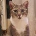 Paul Prohaska - Facebook