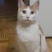 Paul Prohaska - Facebook