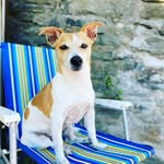 Paul Prosser - @paulprosser9 - Instagram