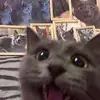 Paul - @paulpulling - TikTok