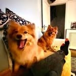 Paul Putman - @paul.putman1 - Instagram