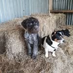 Paul Quantrill - @paul_quantrill1968 - Instagram