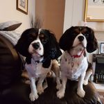 Paul Quinn - @paul.quinn.33633 - Instagram