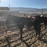 Paul Radke - @pradke79 - Instagram