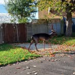 Paul Radley - Facebook