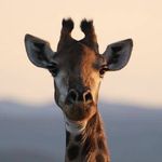 Paul Rainer - @pdr78 - Instagram