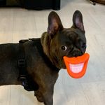Paul Riley - @paulriley9773 - Instagram