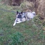 Paul Randle - @randlepaul - Instagram