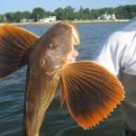 Paul Range - @flyfisherman12 - Instagram