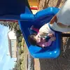 Paul Range - @paulrange - TikTok