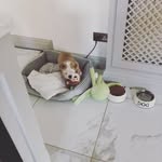 Paul Ranson - @ranson_p - Instagram
