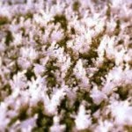 paulranson - @paulranson - Instagram