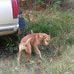 Paul Rasberry - Facebook
