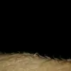 paularatzlaff399 - @paularatzlaff399 - TikTok