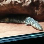 Paul Rauscher - @sock1paul33 - Instagram