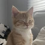 Paul Raya - @paulraya25458 - Instagram