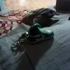 rayazpaul - @rayazpaul - TikTok