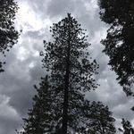 PaulCréme - @paul_creamer - Instagram