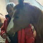Paul Recht - @paul.recht.50 - Instagram