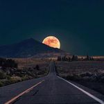 Paul Redding - @paul.redding.3 - Instagram
