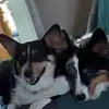 Paul Redding - @paul.redding - TikTok