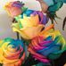 Pauline Reddin - Facebook