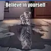 paulredding56 - @paulredding56 - TikTok