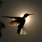 Paul Redfield - Facebook