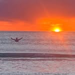 Paul Rees - @paul.rees.7568 - Instagram