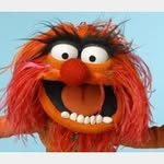 Paul Rees - @paul.rees.5895 - Instagram