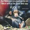 Paul Rees - @paul.rees736 - TikTok