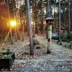 Paul Regner - Facebook