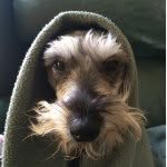 Paul Rehm - @parehm1 - Instagram