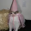 PaulaReising - @yoconkjaaob - TikTok
