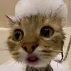 paulrenault807 - @paulrenault807 - TikTok