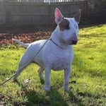 Paul Rene - @paul_rene_192 - Instagram